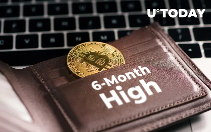 Number of Bitcoin Wallets with 100+ BTC Hits 6-Month High: Analytics Report