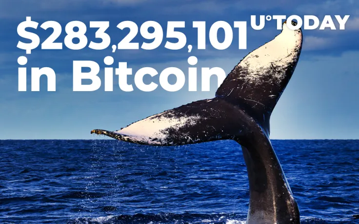 $283,295,101 in Bitcoin Shifted by Whales for Just $22 Fee As BTC holds at $13,000