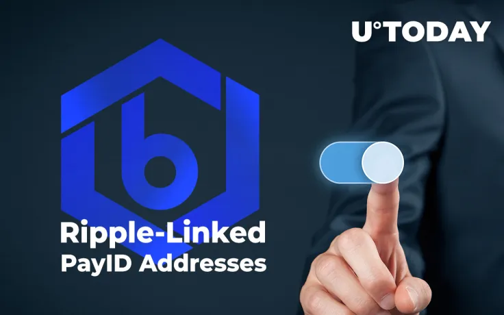 Bitrue to Roll Out Registration of Ripple's PayID Addresses