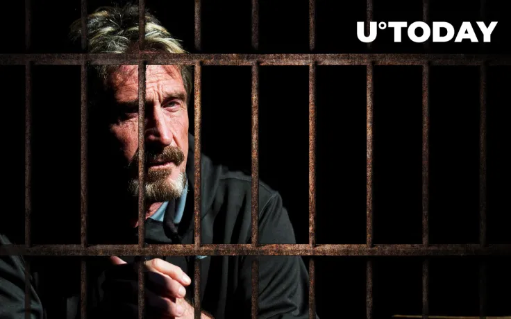 New “McAfee Report” From His Prison Cell Details Peculiarities of Jail Life 