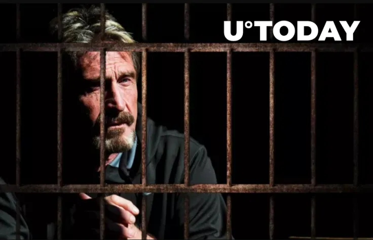 John McAfee Starts Tweeting from Prison, Brings Up Epstein Conspiracy