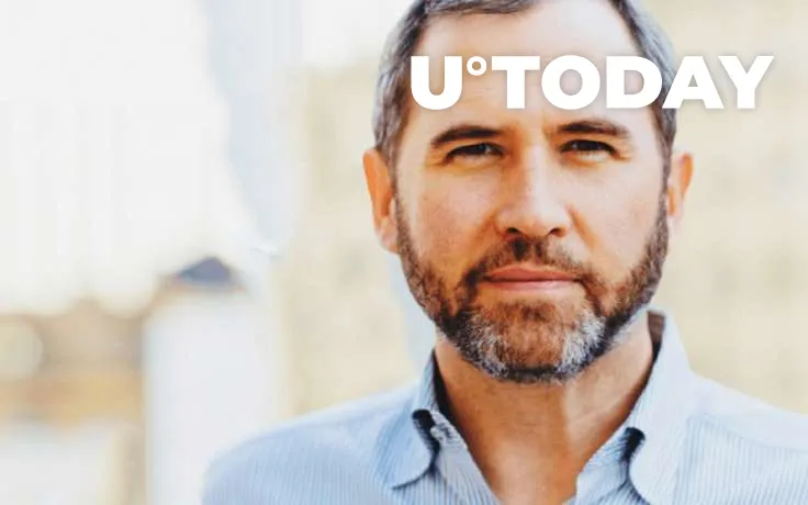 Ripple CEO Cautions Public Companies Against Holding Bitcoin 