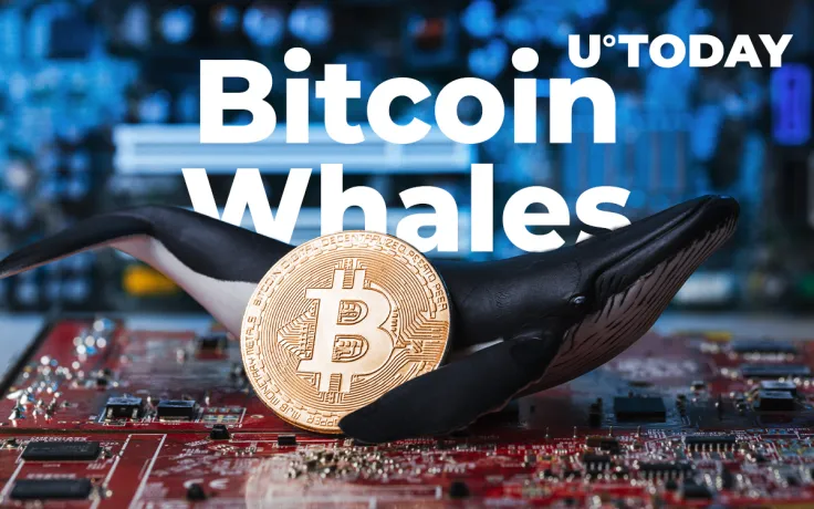 Bitcoin Ownership Getting More Centralized