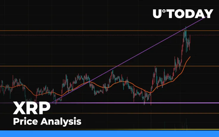 XRP Price Analysis for November 19