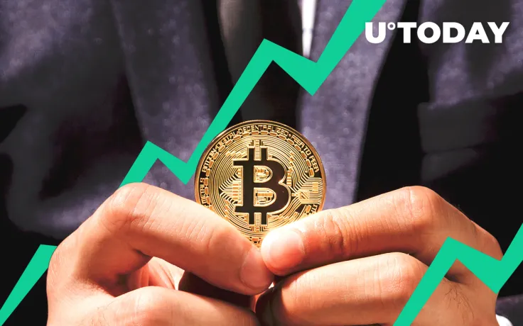 Why Number of Small Bitcoin Holders Rising is Optimistic in the Mid-Term