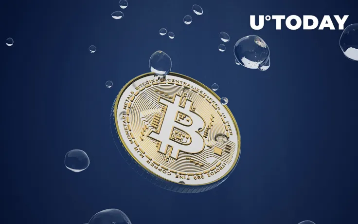 Ripple Executive Says That Days of Bitcoin Maximalism Are "Over"