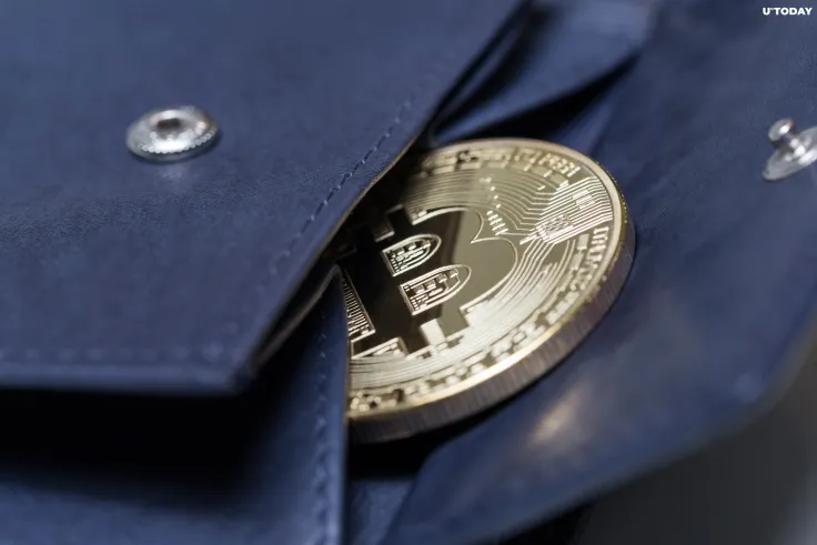 Number of Bitcoin Wallets with 10,000+ BTC Hits 2020 High, Showing Whales' Confidence: Santiment