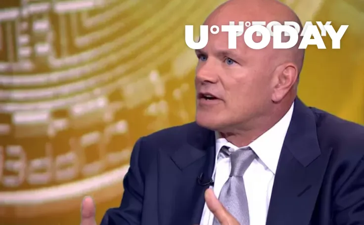 "Institutions Don't Have Their Fill Yet": Mike Novogratz  