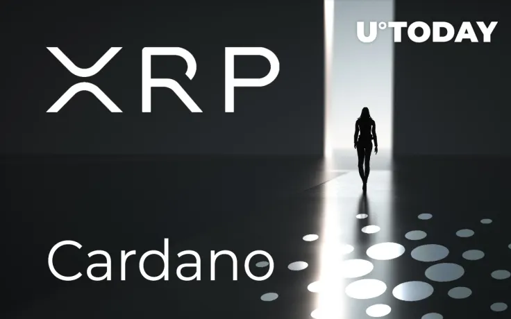 XRP About to Leave Top 5 First Time Since 2014 as Cardano (ADA) Soars 40 Percent