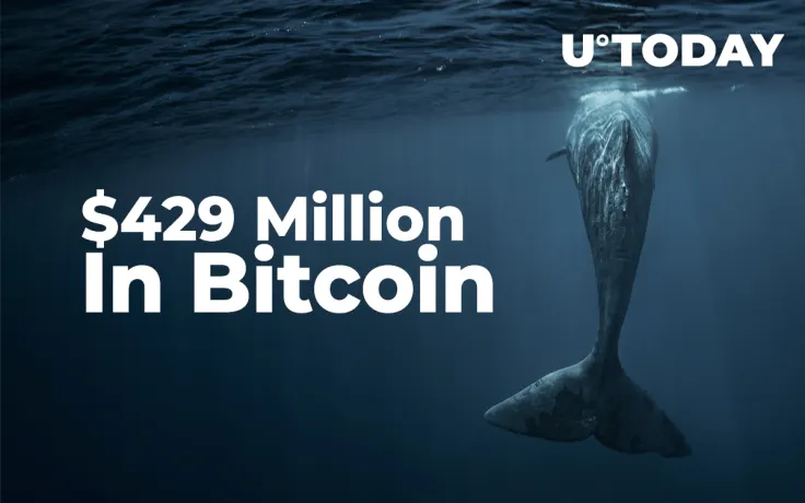 Anonymous Whale Shifts Amount Close to $429 Million In Bitcoin