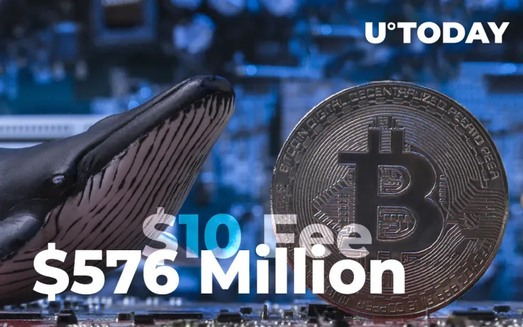 Crypto Whale Shifts $576 Million in Bitcoin for Just $10 Fee
