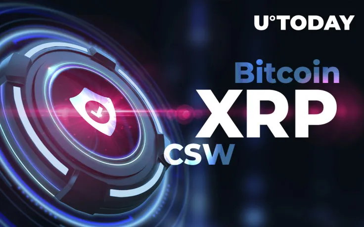 XRP a Security, Bitcoin Not Ponzi, CSW Not Satoshi: Top Crypto Lawyer Stephen Palley