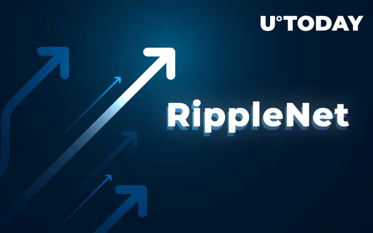 RippleNet Saw Five-Fold Volume Growth in 2020