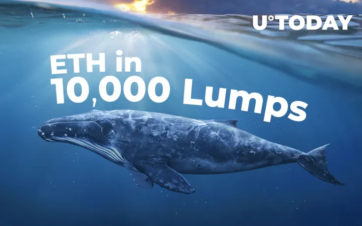 Whales Acquiring ETH in 10,000 Lumps, While Ethereum Partners with Reddit
