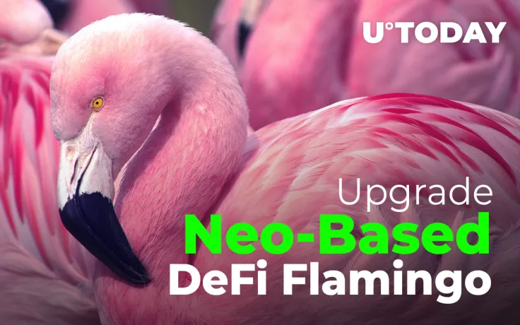 Neo-Based DeFi Flamingo (FLM) to Undergo First-Major Upgrade
