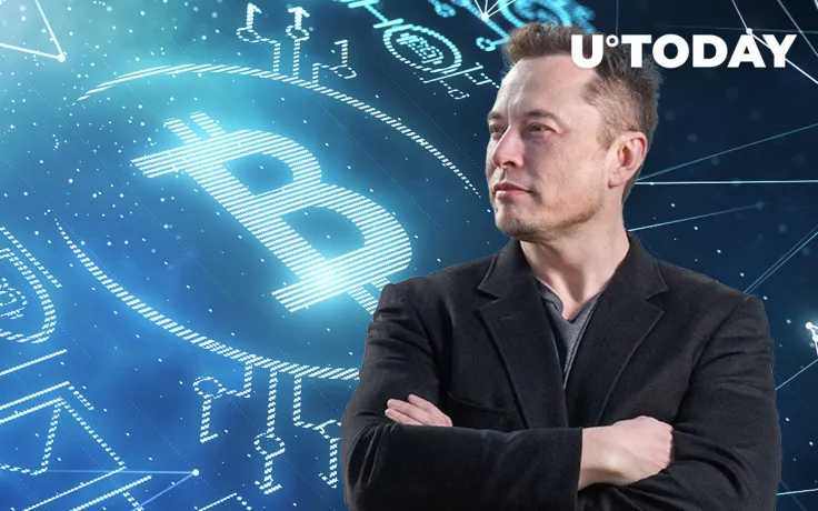 This Elon Musk Tweet Has Been Immortalized on Bitcoin Blockchain