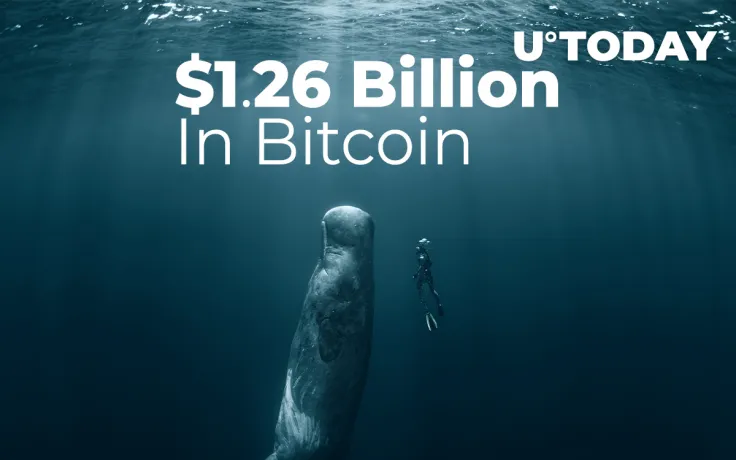 Crypto Whales Shifted Whopping $1.26 Billion In Bitcoin As BTC Broke Above 34,200 