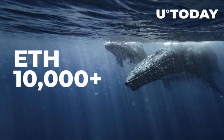 Number of Whales with 10,000+ ETH Hits 1-Year High As ETH Inches Closer to Its 2018 ATH
