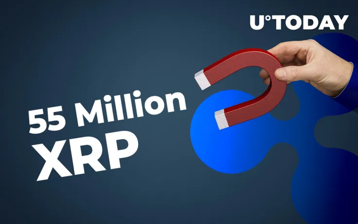 Ripple and Top Exchanges Move 55 Million XRP, While Coin Holds at $0.32