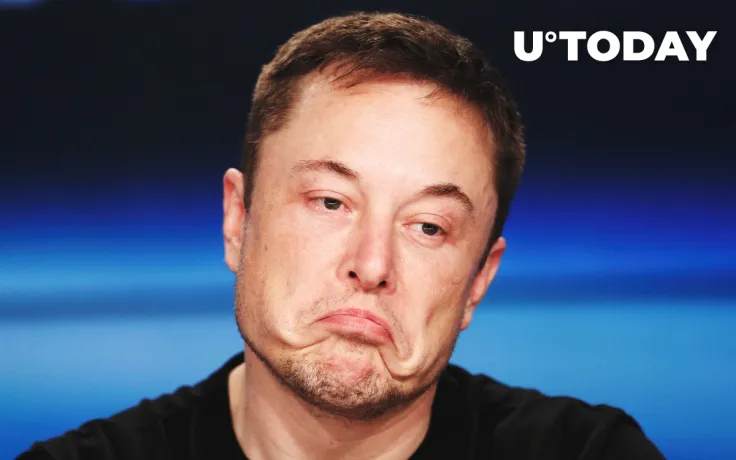 Bitcoin and Tesla Plunge While Elon Musk Sends Dogecoin Soaring Yet Again