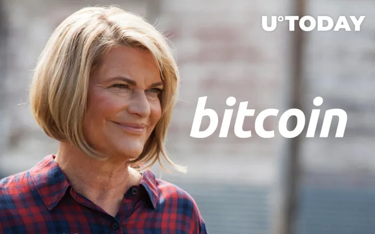 Wyoming Senator Sees Bitcoin as "Great" Store of Value