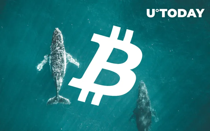 Bitcoin (BTC) Network Has Never Been So Whale Dominated: Santiment