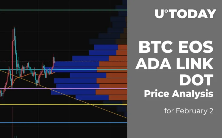BTC, EOS, ADA, LINK and DOT Price Analysis for February 2