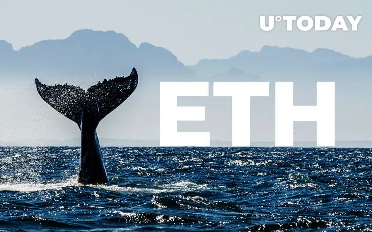 Mid-Sized Whales Are Dumping ETH, While Smaller Holders Are Acquiring It, Here's What It Means