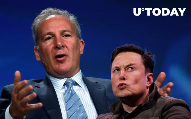 Peter Schiff Accuses Elon Musk of Pumping Crypto After His DOGE Tweet