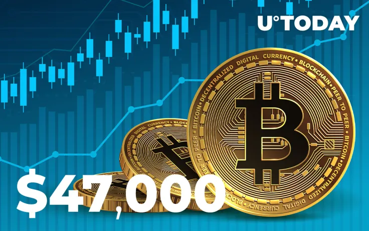 Bitcoin Surges Above $48,000 After Record-Shattering "Elon Candle"