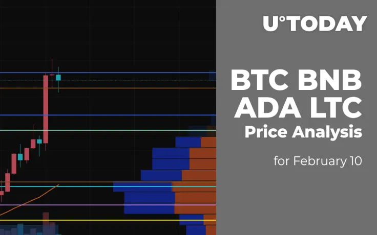 BTC, BNB, ADA and LTC Price Analysis for February 10