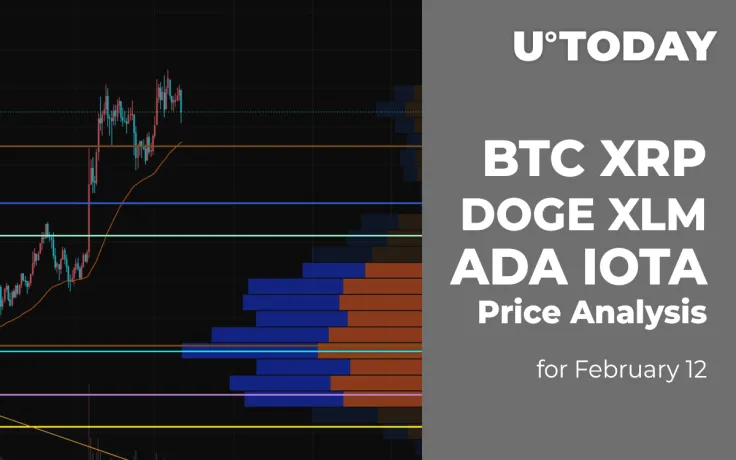 BTC, XRP, DOGE, XLM, ADA and IOTA Price Analysis for February 12