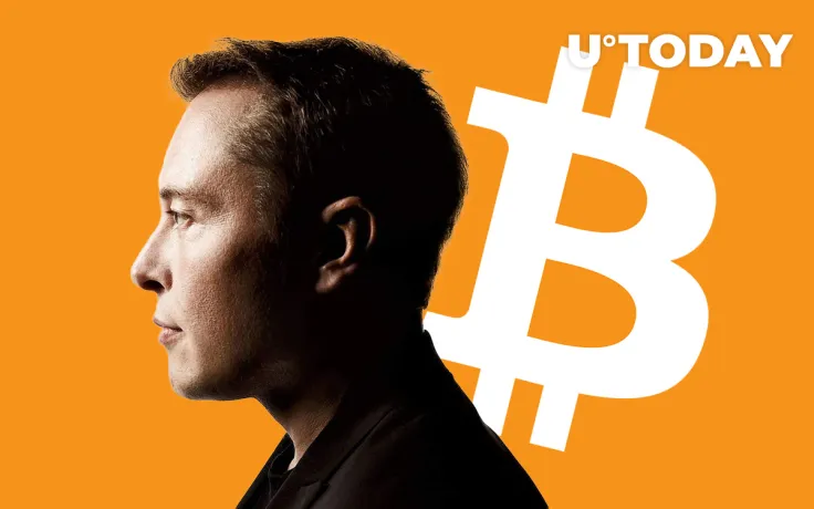 Bitcoin Fixes This: Elon Musk Slams Banks for Weak Security and High Latency