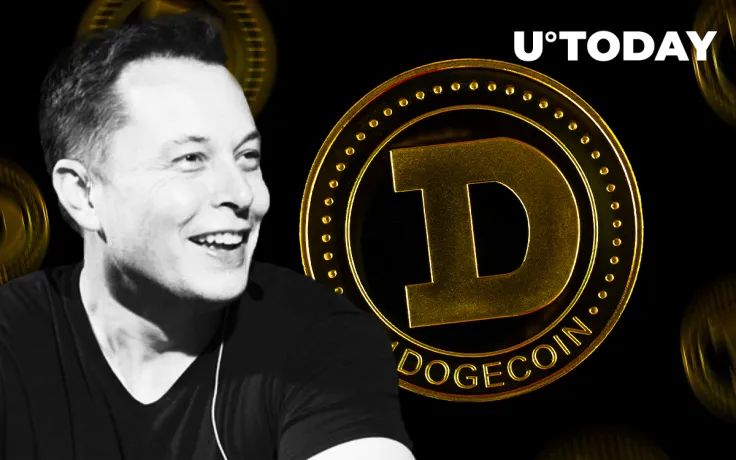 Dogecoin Plunges 20 Percent After This Elon Musk Tweet