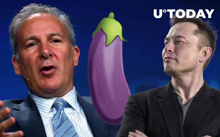 Elon Musk Sends Eggplant Emoji to Peter Schiff About Bitcoin, Here's What It Means