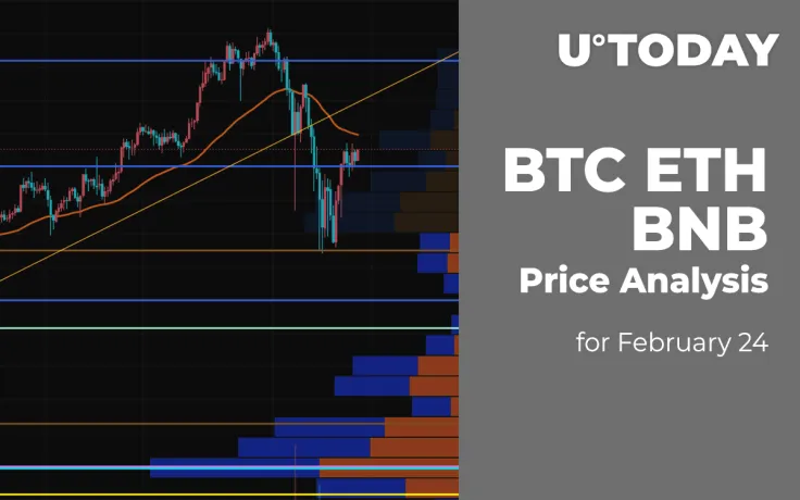 BTC, ETH and BNB Price Analysis for February 24