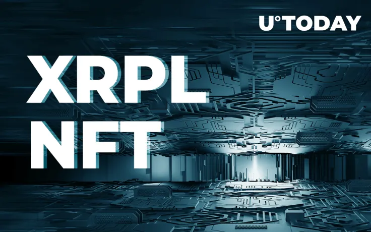 Here's How XRPL Operates NFTs: Report Released