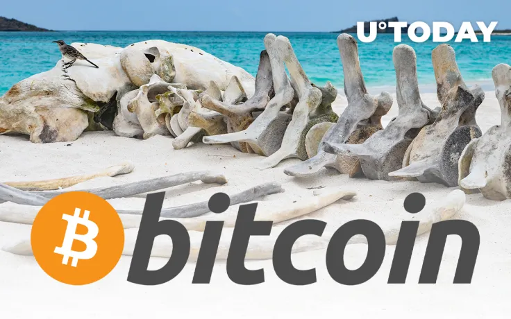 As Bitcoin (BTC) Drops to $43,300, Number of Whales Hits Two-Year Low