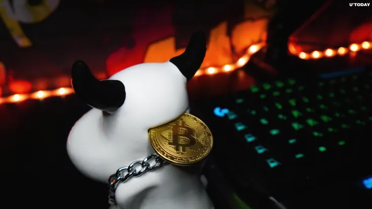 Fed’s Kashkari Dismisses Bitcoin as a Toy, Comparing It to Beanie Babies