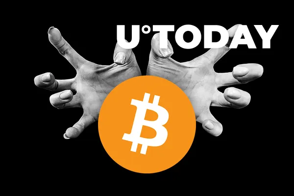 Musk Strikes Back at Portnoy, DOGE Issues and Large XRP Movements: Tuesday’s Hottest News From U.Today 