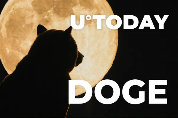 DOGE Regains Top-5 Spot, Surging Over 38% to New ATH