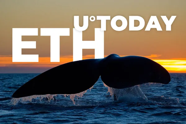 Number of ETH Whales Soars to New All-Time High This Year: Santiment