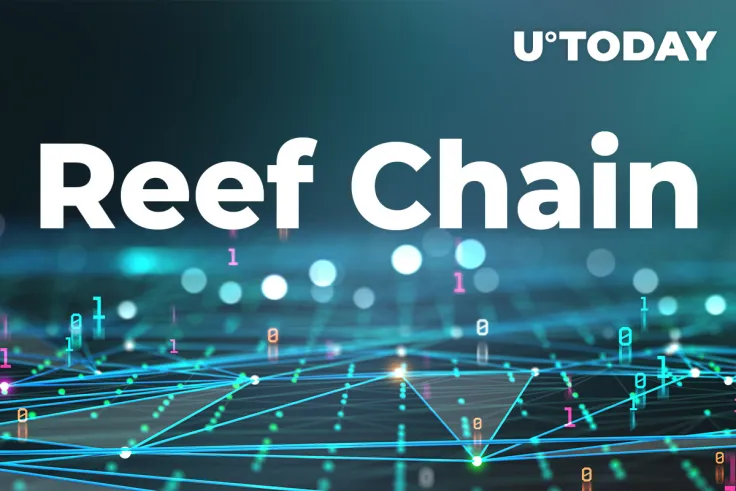 Reef Finance Finally Shares Mainnet Dates for Reef Chain, Teases Massive Opportunities for DeFi