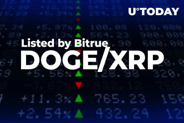 DOGE/XRP Pair Listed by Bitrue (BTR) Exchange Amidst Painful Market Collapse