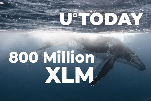 800 Million XLM Transferred by Whales in Past 15 Hours, Here’s Why