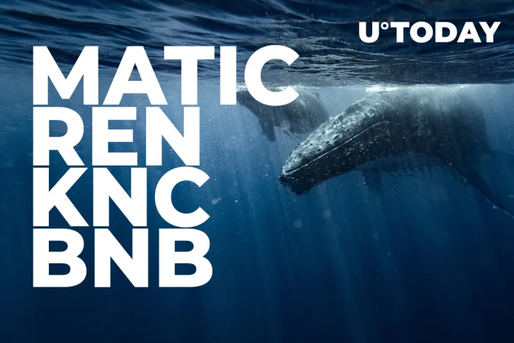 MATIC, REN, KNC, BNB Whales Definitely Bought Latest Dip, Here's Why