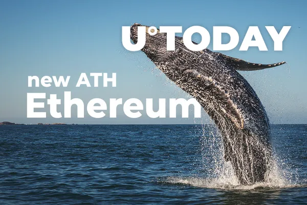 New Ethereum Whale Addresses Hit New All-Time High This Weekend: Santiment