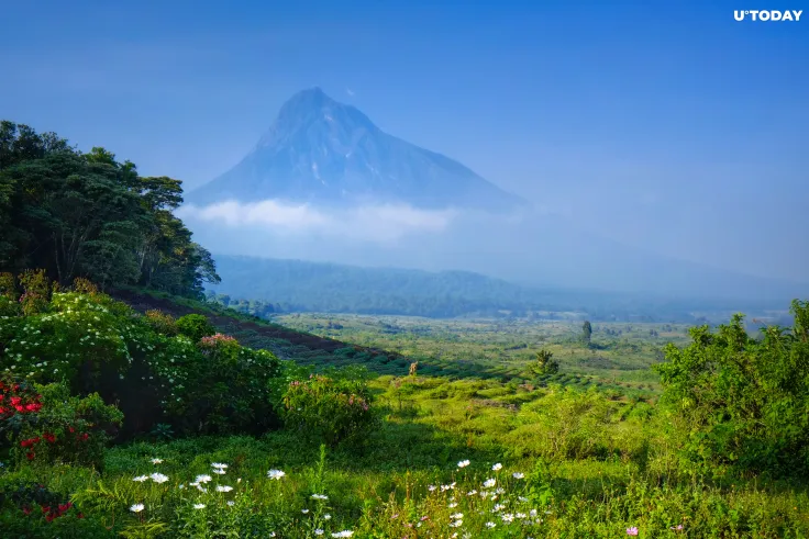 Virunga National Park Now Accepts Bitcoin, Ethereum, Litecoin, Chainlink, and Other Coins as Donations 