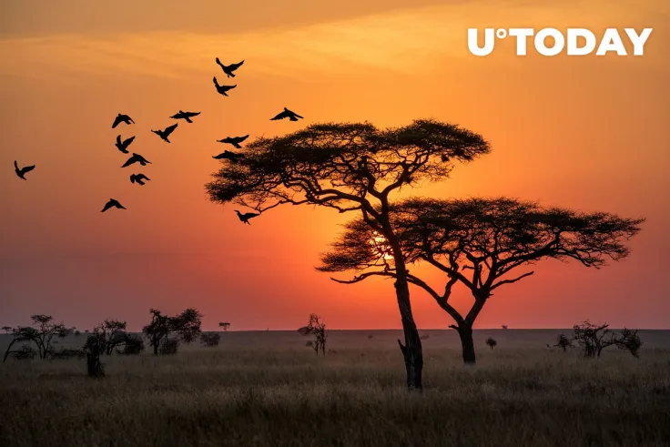 Cardano Developer IOHK Announces Major Partnership in Tanzania