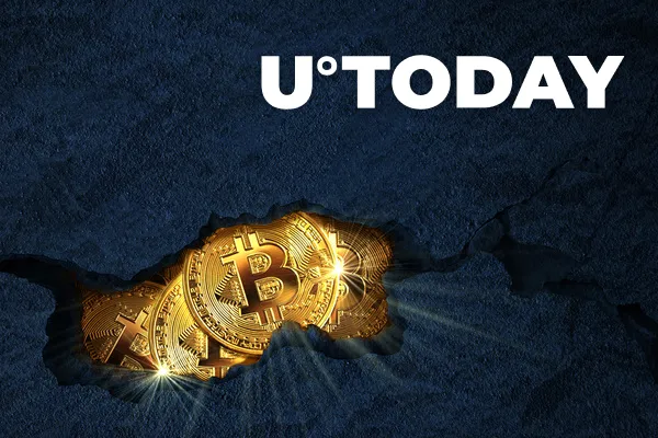 Bitcoin Long-Term Hodlers and Miners Accumulate BTC Actively, Here’s What It Means for the Market